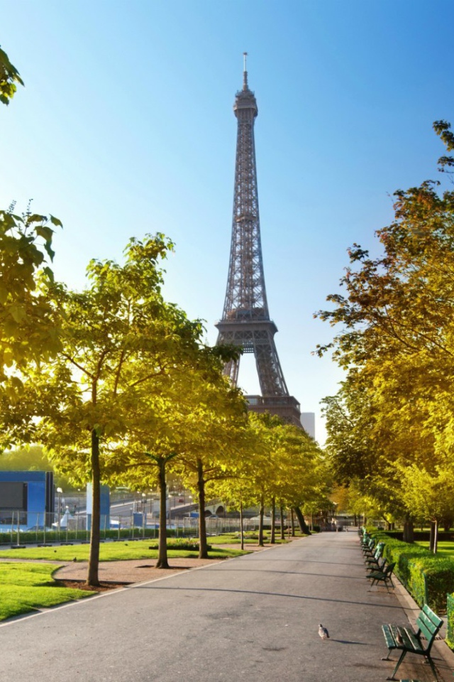 Осенняя аллея в Париже