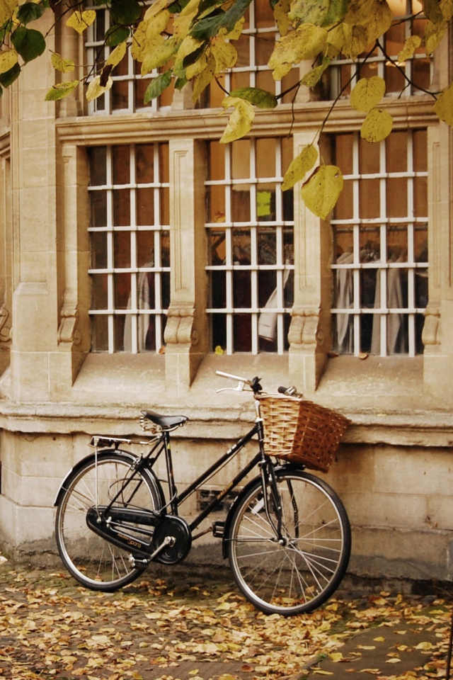 Велосипед с корзинкой у стены