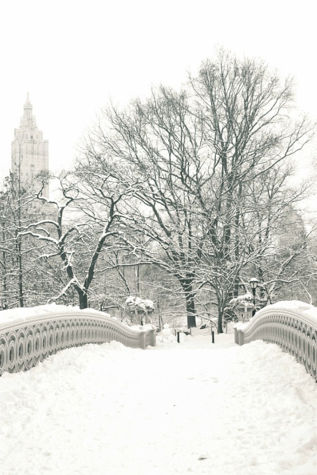 Мост в центральном парке Нью-Йорка