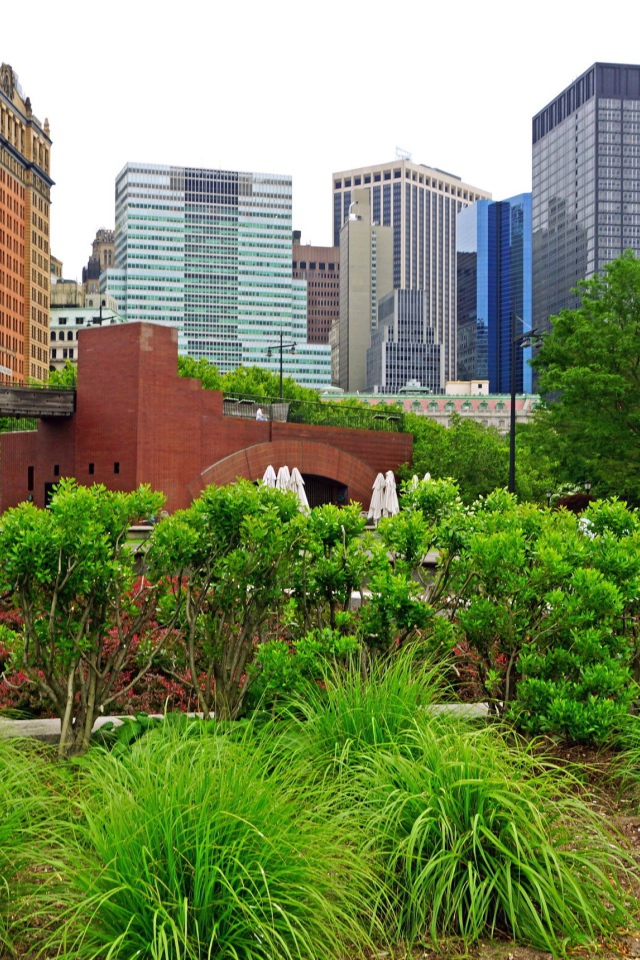 Зеленый парк в центре города