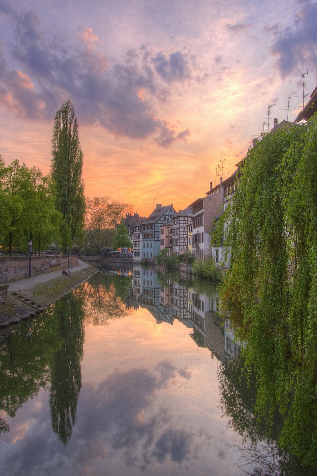 Зелень деревьев свисает до воды канала