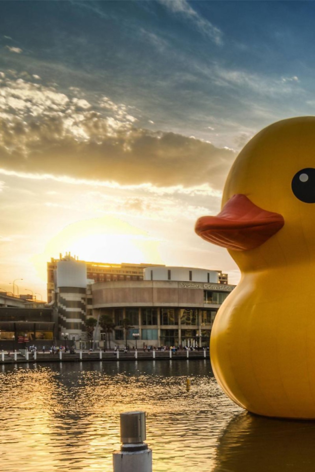 Огромная игрушечная утка