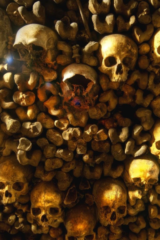 Внутри парижских катакомб