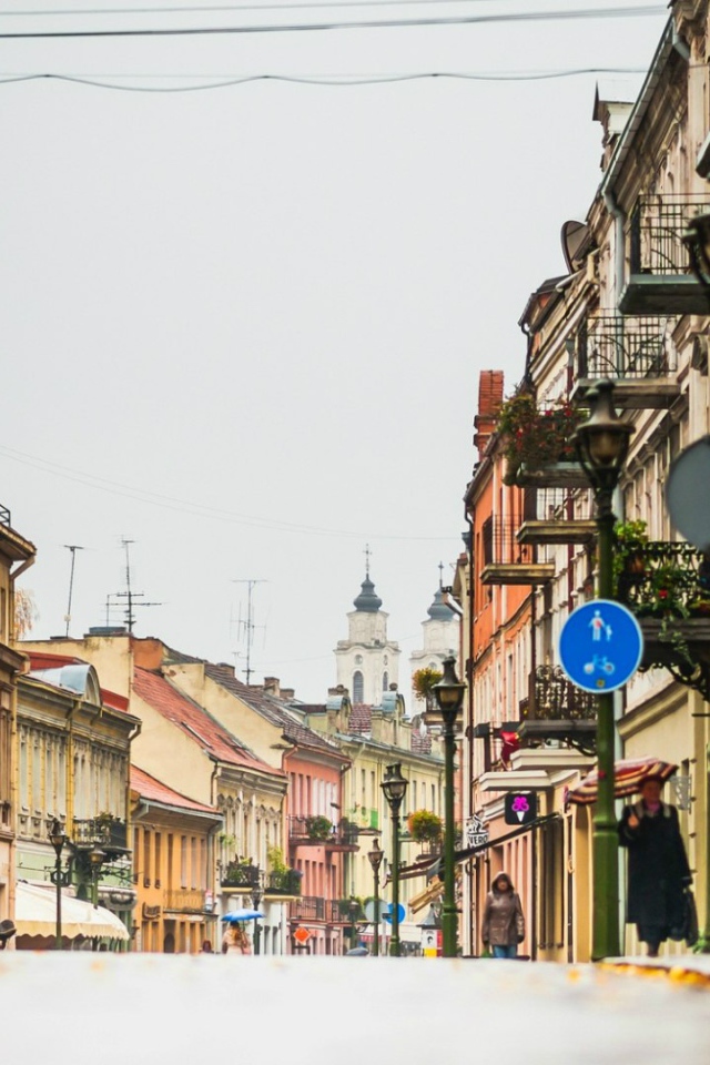 Город Каунас, Литва