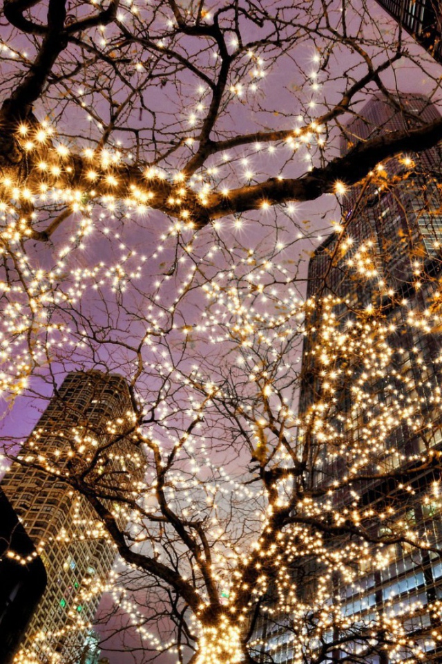 Предновогодний Чикаго США