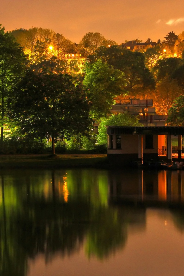 Ночное освещение в городском парке