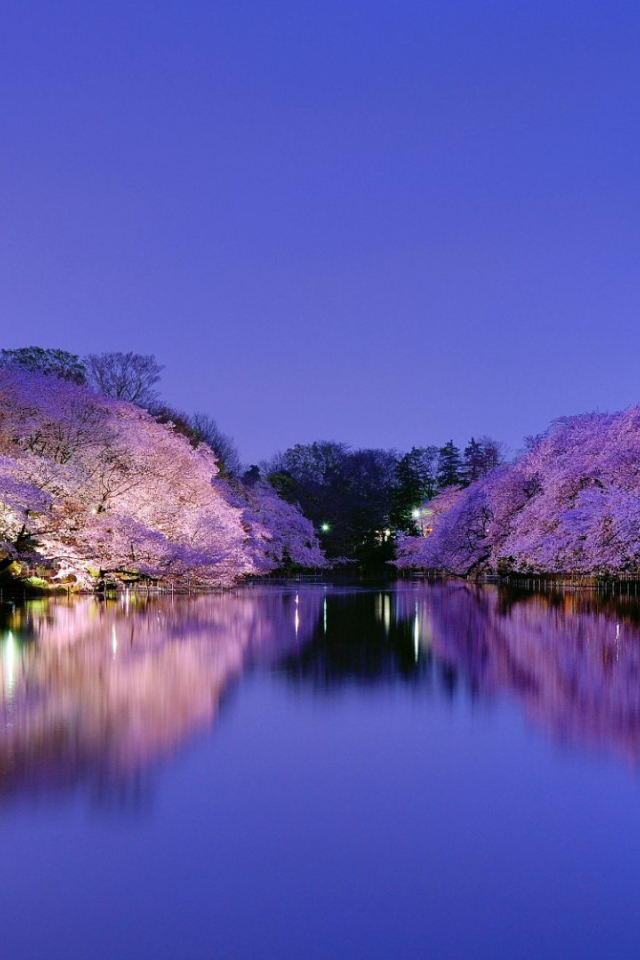 Парк в Осаке, Япония