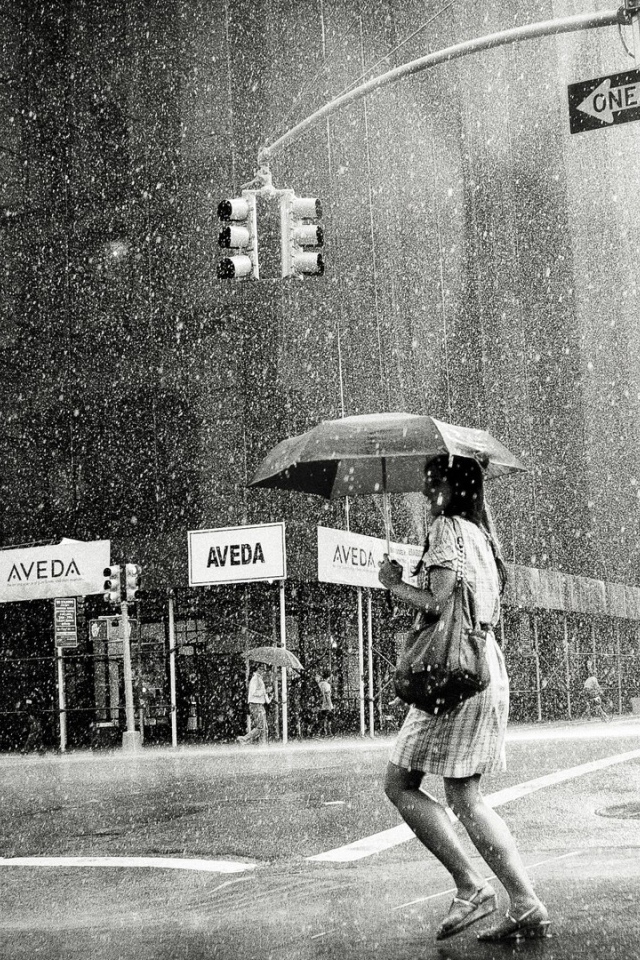 Дождь на 5-й Авеню. Нью-Йорк