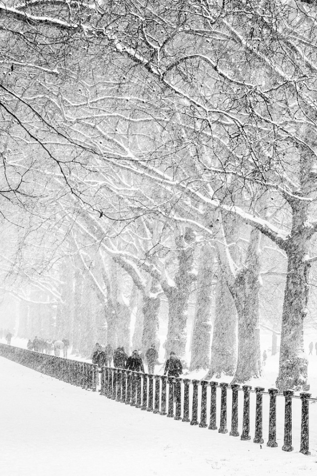 Сент-Джеймс Парк, Лондон