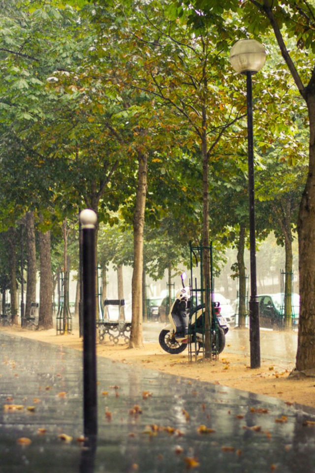 Улица Парижа во время дождя