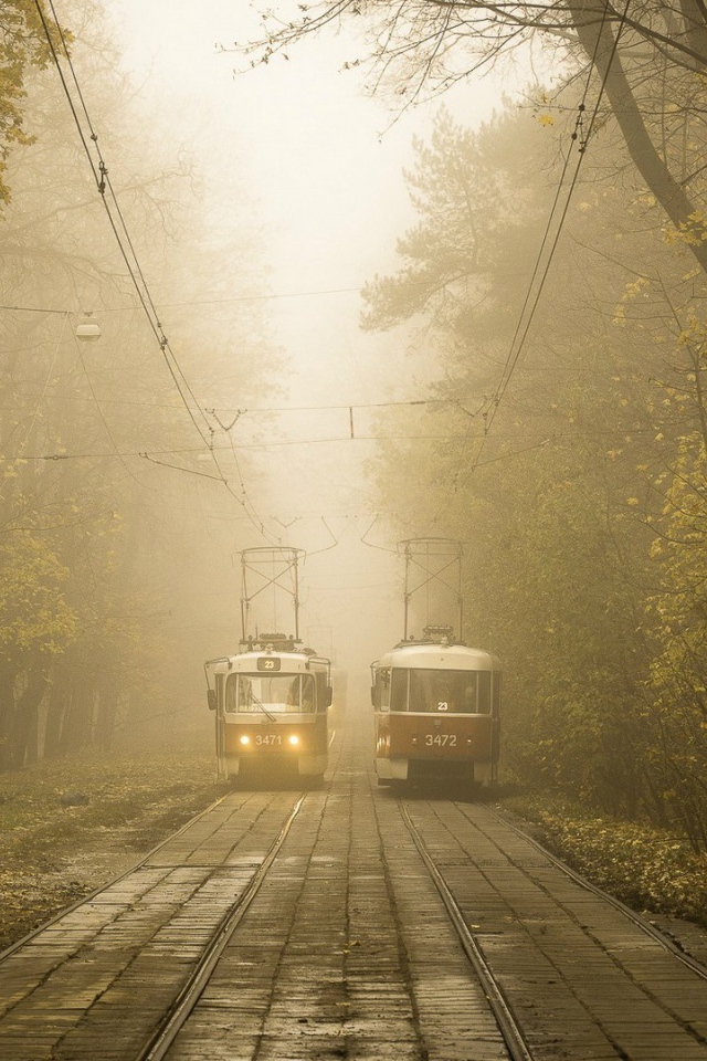 Два трамвая на линии в городском парке