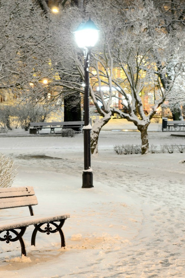 Зимний вечер в городском парке