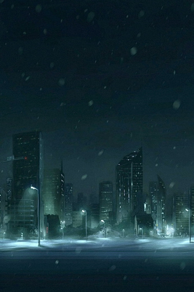 Снег в ночном городе