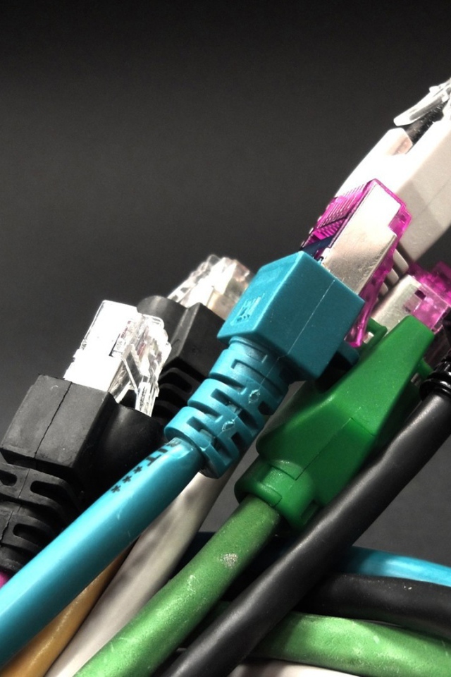 Букет компьютерных тюльпанов