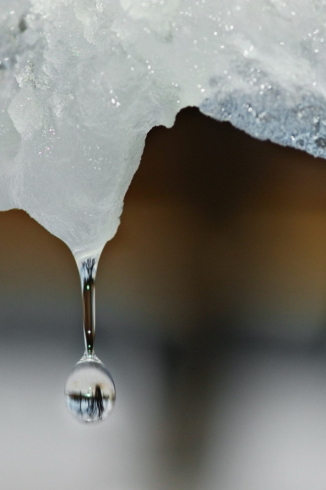 Капля воды падает с льдины
