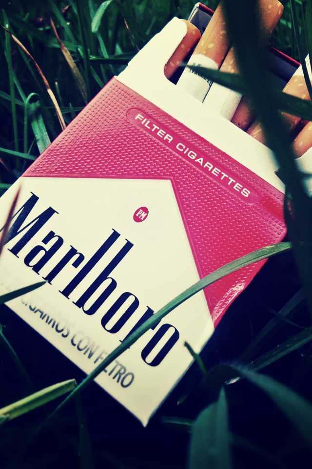 Пачка сигарет в траве