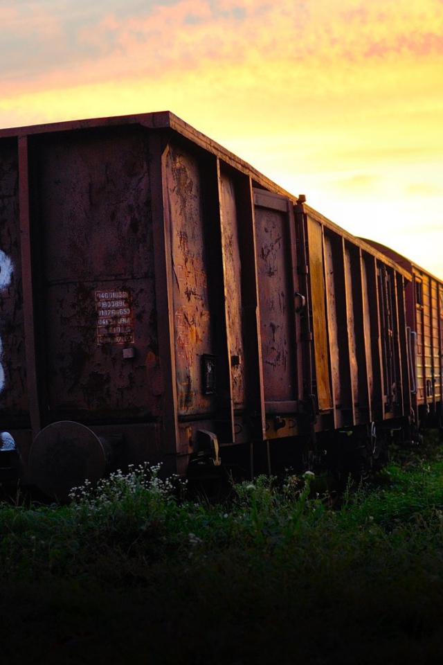 Заброшенная железнодорожная ветка
