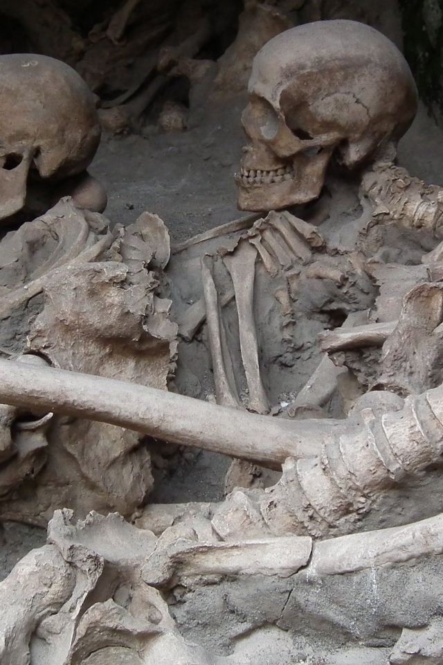 Археологические раскопки древнего захоронения