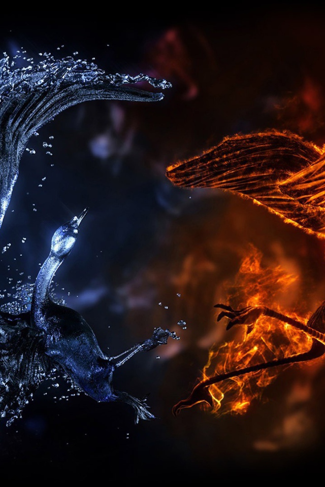 Сражение птиц стихий воды и огня