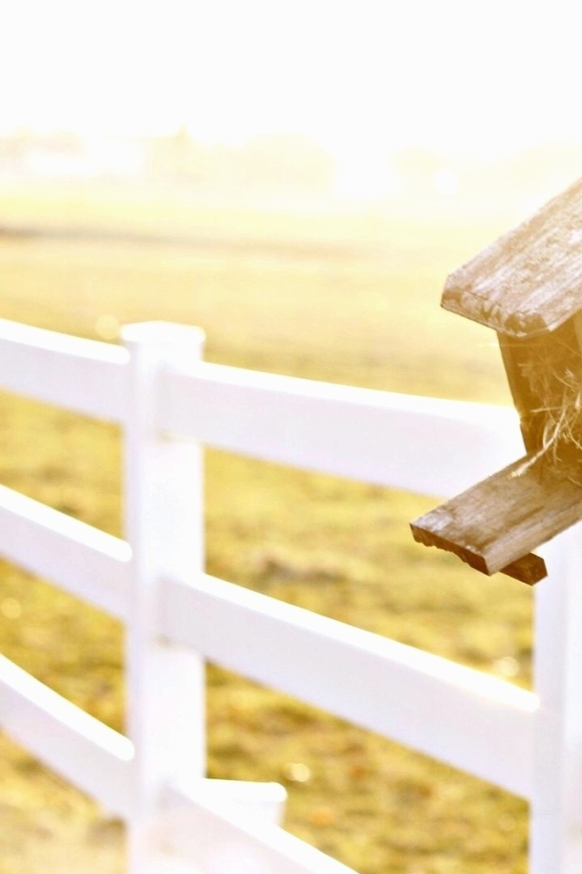 Птичья избушка на заборе