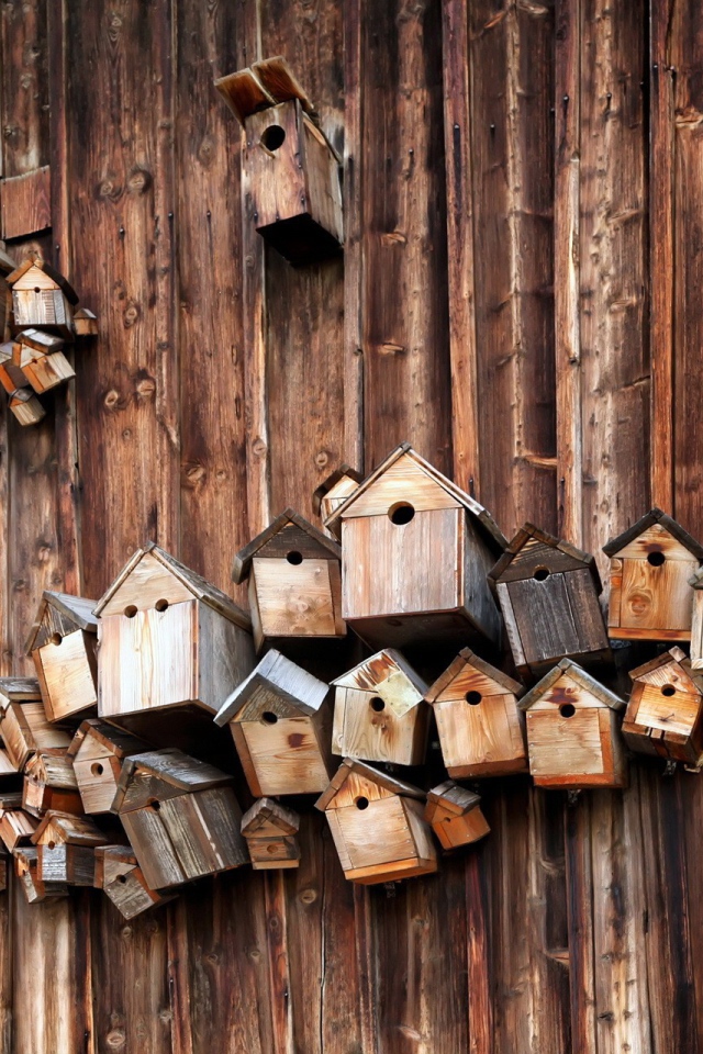 Скворечники на деревянной стене