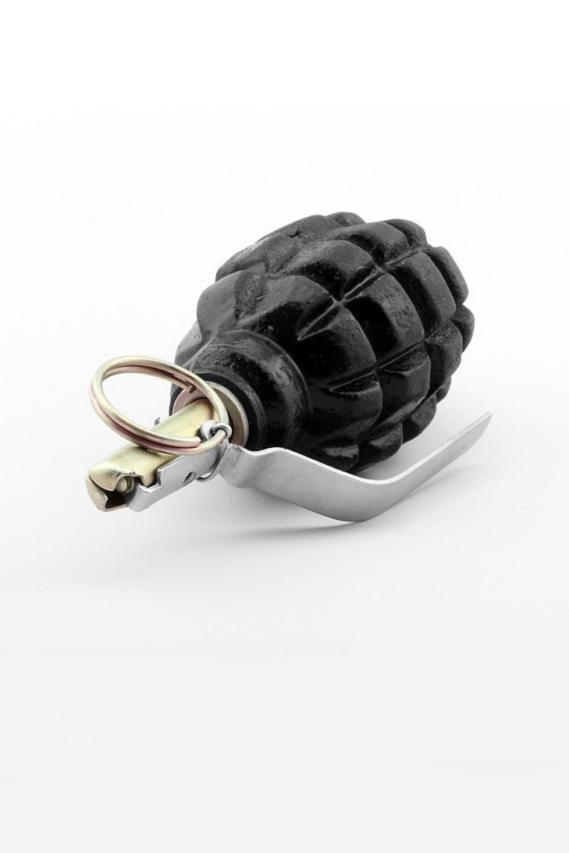 Черная граната на белом фоне