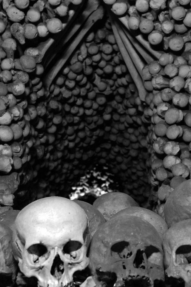 Кости и черепа в склепе