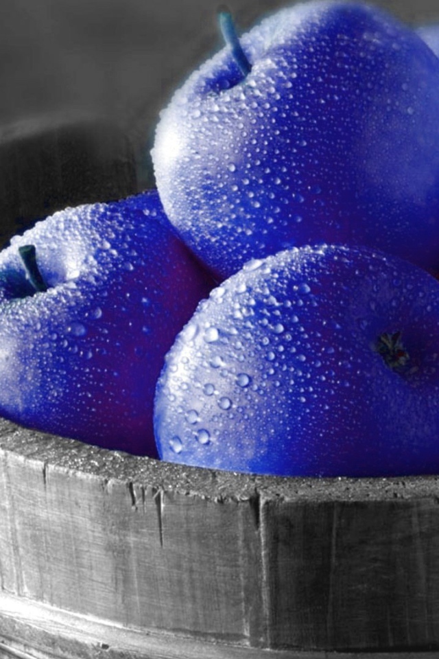 Ведро с синими яблоками