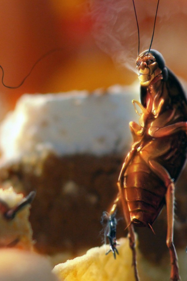 Тараканы рабы вредной привычки