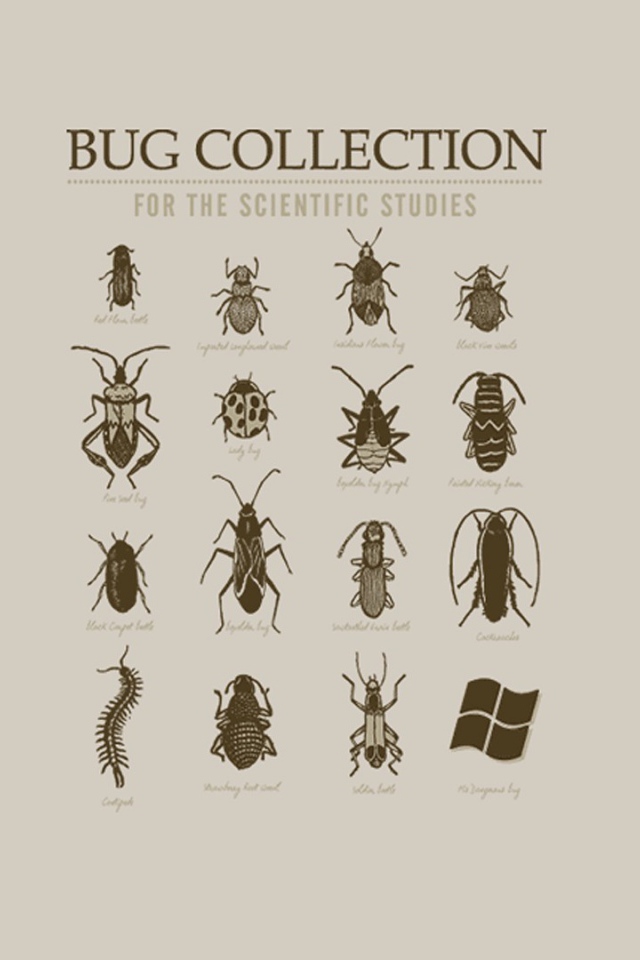 Коллекция неизвестных жуков
