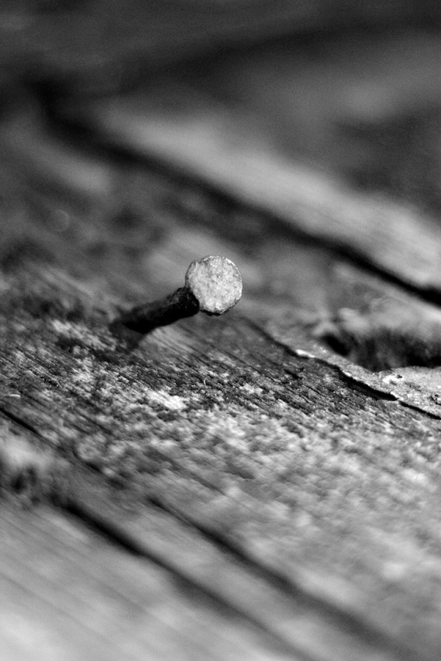 Кривой гвоздь в дереве