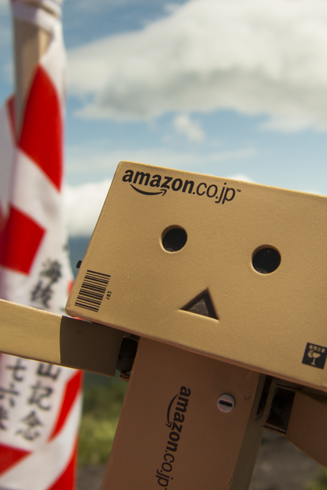 Дандо на фоне японского флага