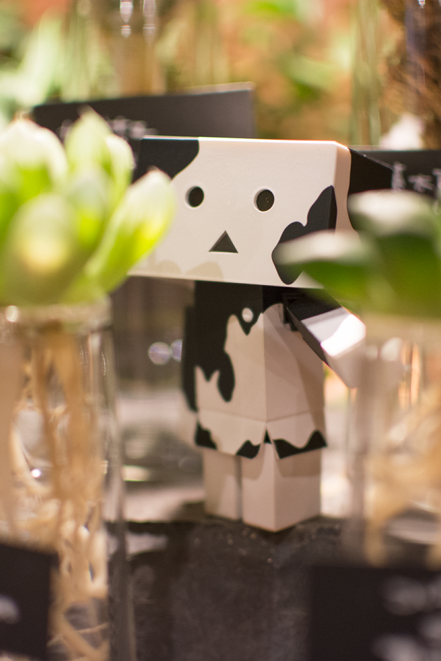 Дандо в маскировке