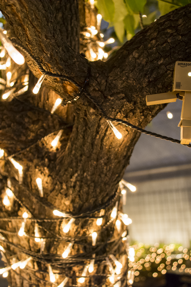 Дандо на гирлянде