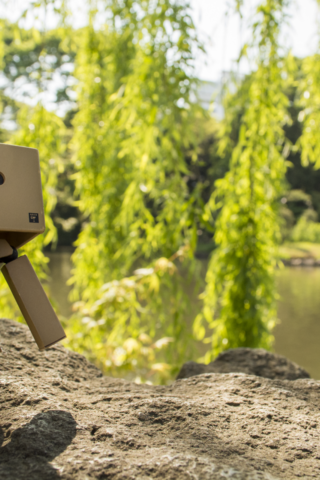 Дандо на земле в саду