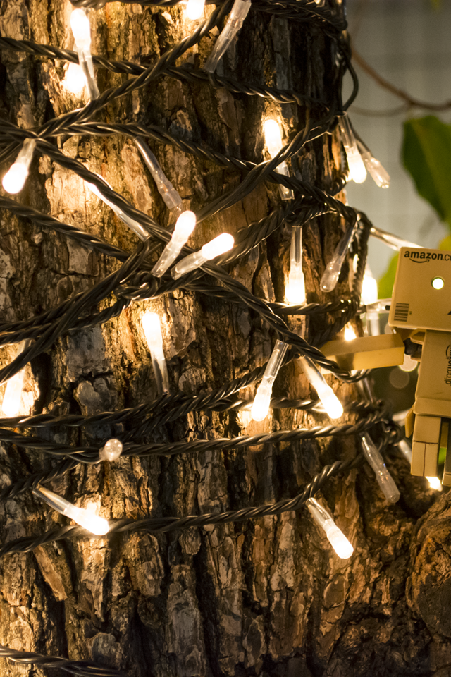 Дандо на дереве