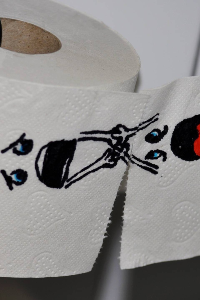Рисунок на туалетной бумаге