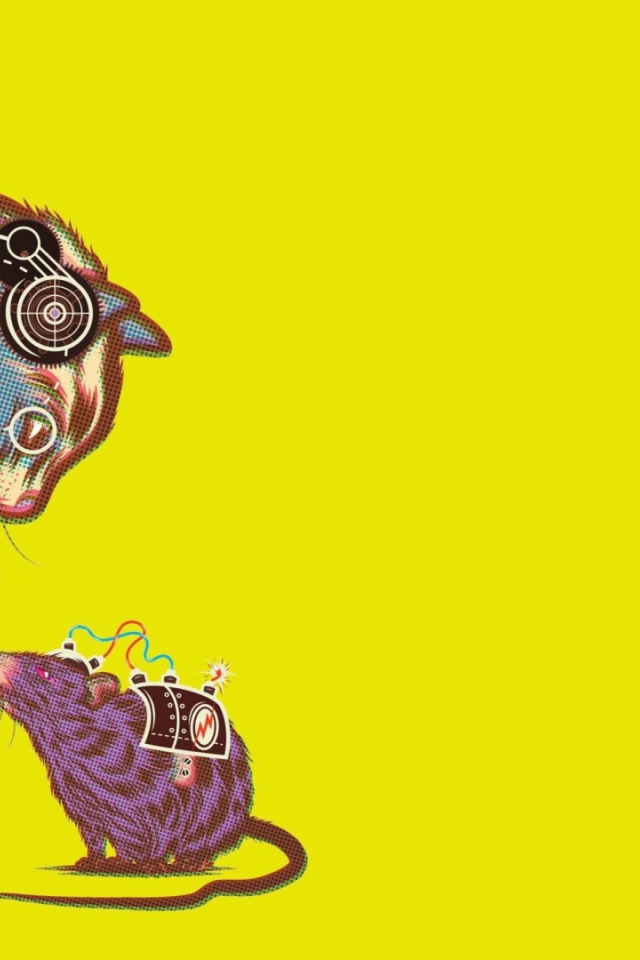 Электрический кот ловит электрическую мышь