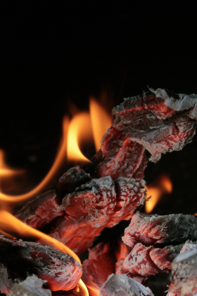 Раскаленные угли костра