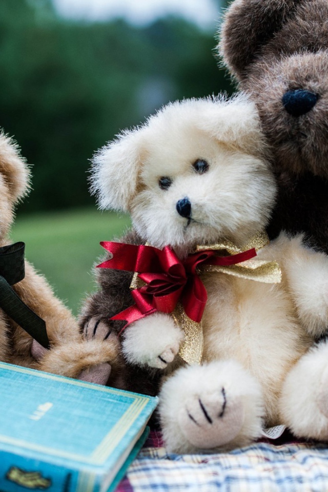 Семейство плюшевых медведей с книгой