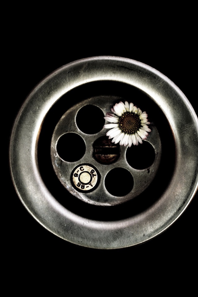 Цветок вместо пули в револьвере