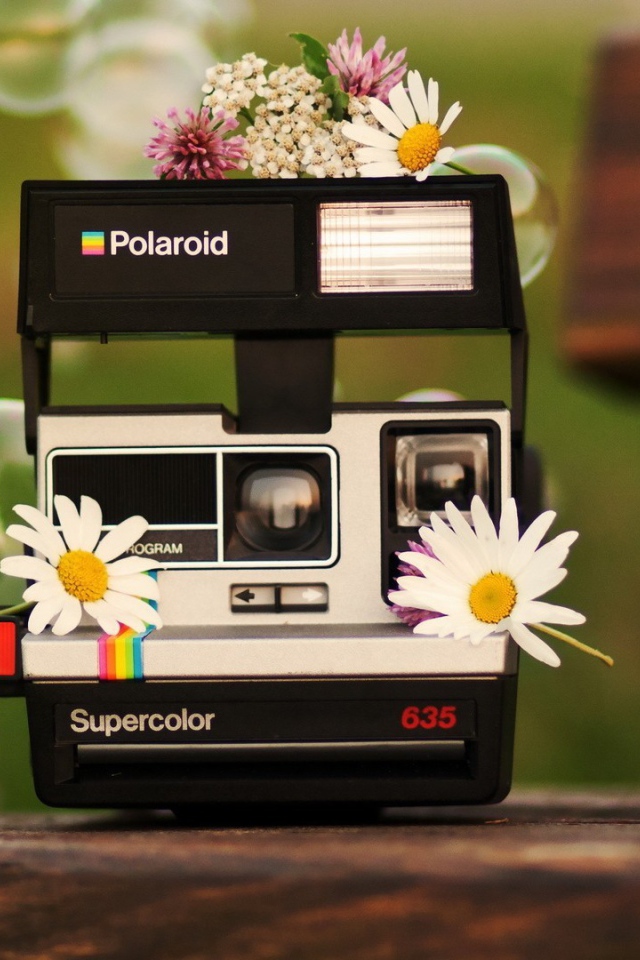 Цветы на фотоаппарате Полароид