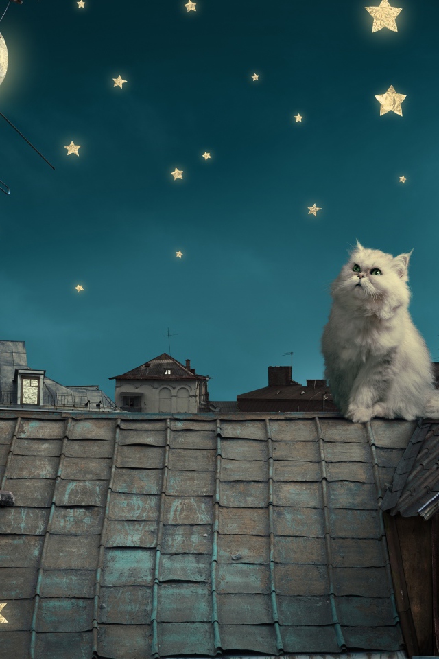 Пушистый кот на декорациях