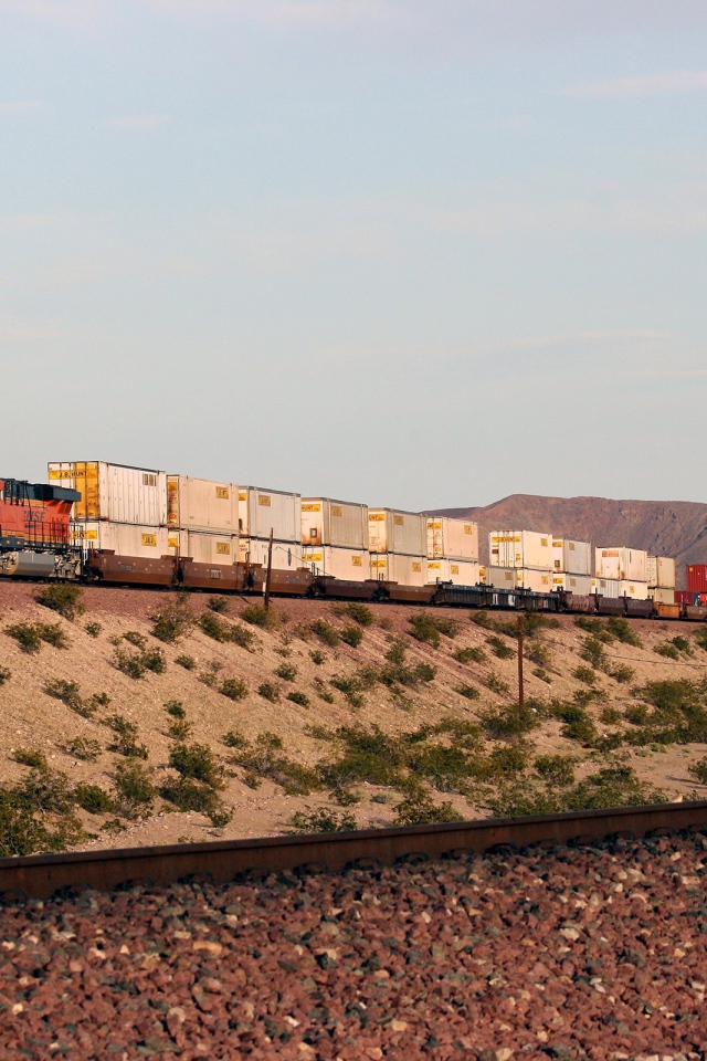 Грузовой поезд перевозит контейнеры