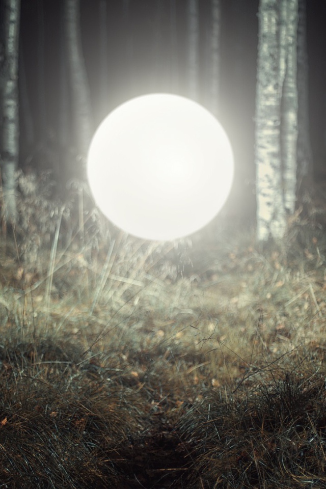 Светящийся шар посреди леса