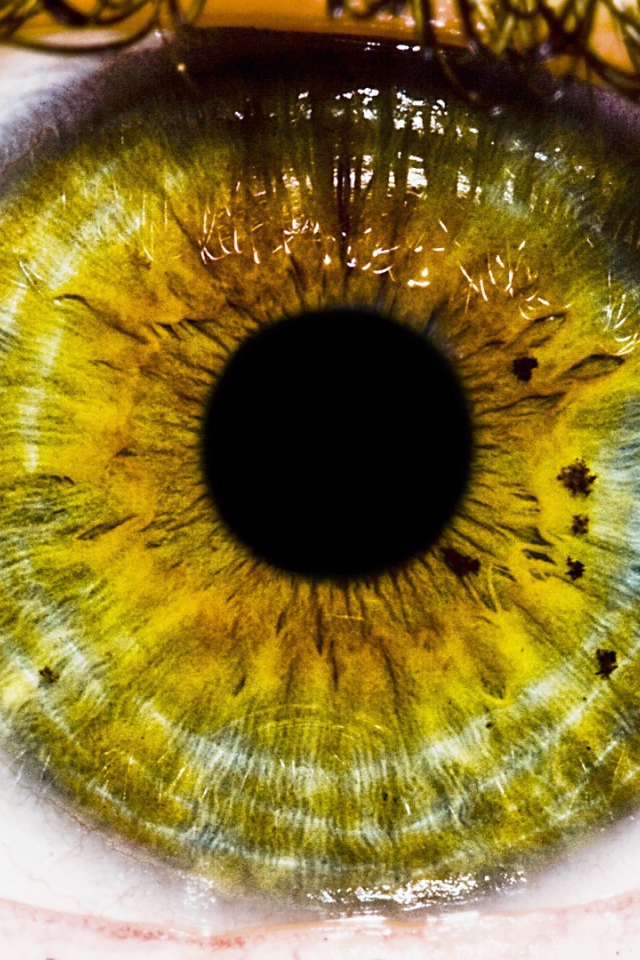 Зеленый глаз, макро фото