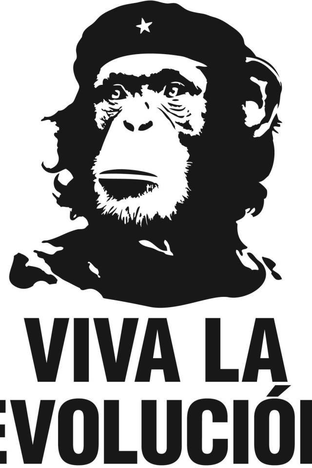 Да здравствует эволюция