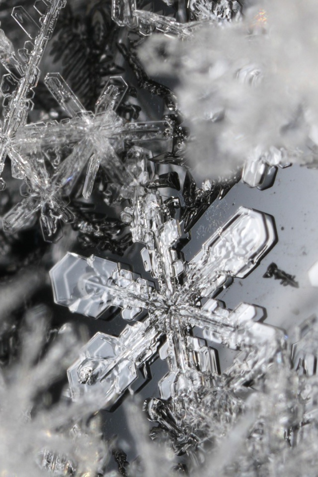 Макро фото снежинок