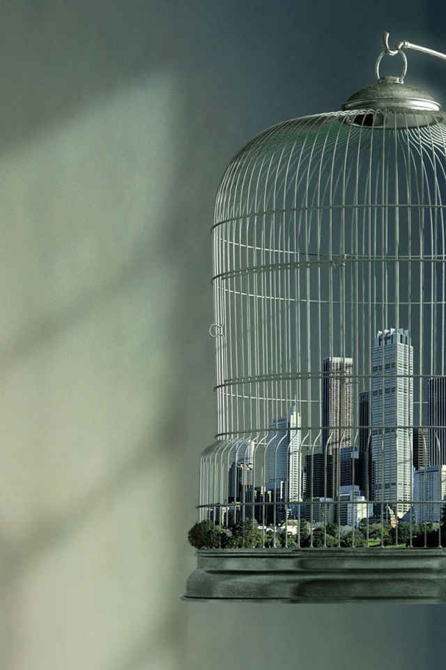 Мегаполис в птичьей клетке