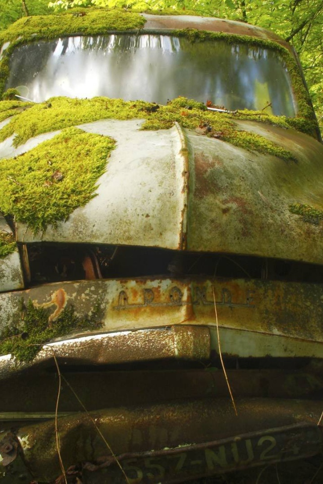 Покрытый мхом корпус автомобиля